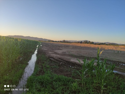 Vendo Parcela , En Longavi, Vll Region