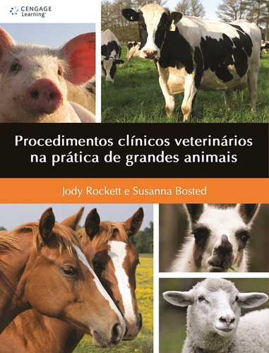 Procedimentos clínicos veterinários na prática de grandes animais, de Rockett, Jody. Editora Cengage Learning Edições Ltda., capa mole em português, 2011