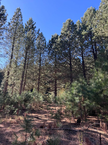 Terreno En Barrio Chapelco Golf