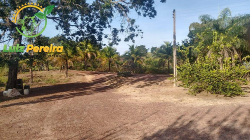 Imagem 12 de 15 de Fazenda À Venda Em Santa Tereza Do Tocantins-to-de 166 Alqueirões(pecuária) - 1692