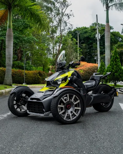 Can-am Ryker Rally