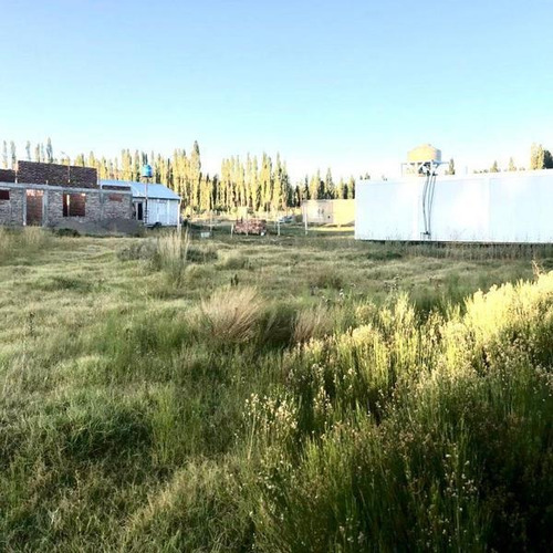 Imagen 7 de 8 de Loteo San Roman, Plottier