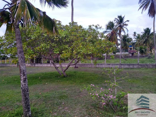 Granja A Venda Em Tibau Do Sul