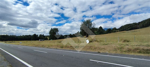 Parcela - 5.000 M2 Cada Una - Cascadas - Puerto Octay
