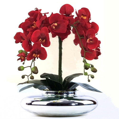 Arranjo De Orquídea Vermelha Em Terrario Espelhado
