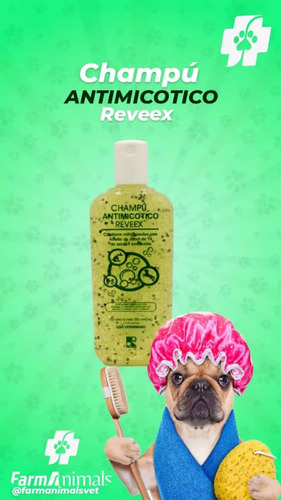 Champú Antimicotico Reveex