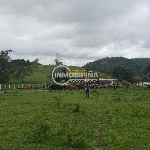 Finca En Venta Zona El Palmar, Estado Bolivar Fl