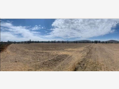 Imagen 1 de 3 de Terreno Comercial En Venta Santa Maria Tecajete
