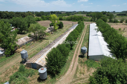 Terreno Campo En Venta - General Rodriguez - G.b.a. Zona Oeste