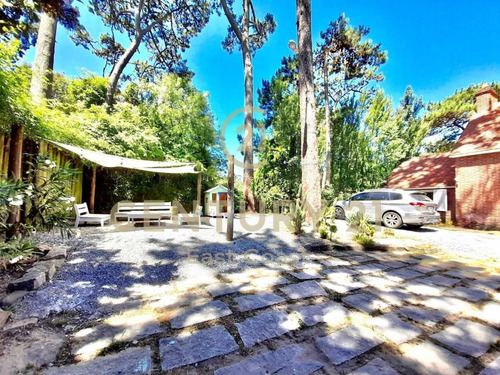 Imagen 8 de 21 de Casa Con Piscina En San Rafael Punta Del Este