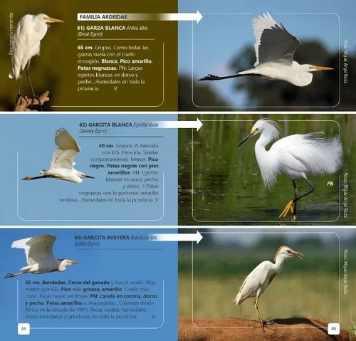 Narosky: Guía De Campo Aves De La Provincia De Buenos Aires