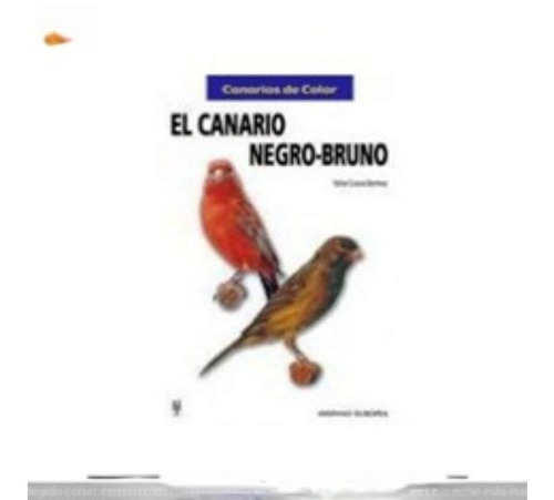 El Canario Negro Bruno