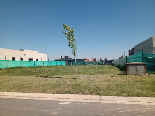 Imagen 6 de 6 de Terreno - Barrio San Felipe