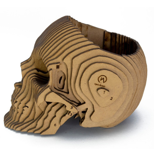 Figura 3d En Madera, Calavera Portaobjetos