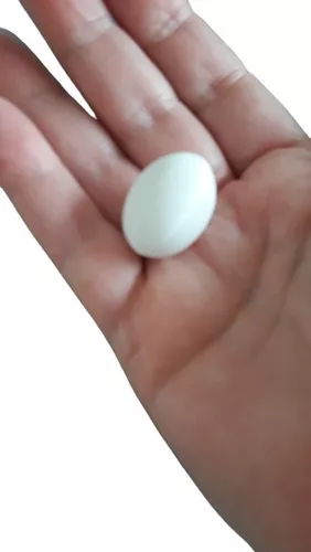 Huevos Plástico Palomas