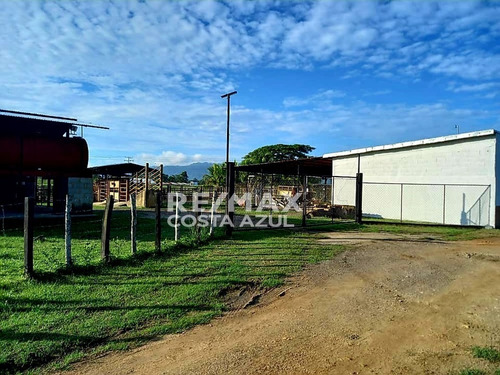 Imagen 7 de 15 de En Venta Finca De 45 Hectáreas De Terreno Plano, A Orilla De Carretera En El Alto, Yaracal.