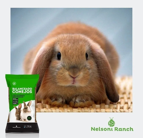 Alimento Balanceado Premium Nelsoni Ranch Conejo 750g Vitami