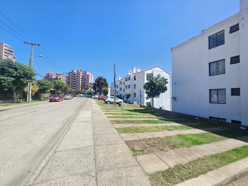 Broker Jardin Exclusividad 4d - 3b-2estac- 1 Bod