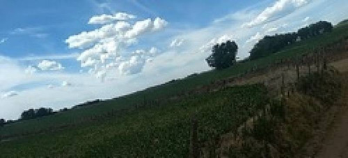 Imagen 14 de 14 de Venta Campo Bragado 160 Has