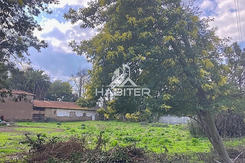 Sitio En Arriendo En Curicó Camino A Zapallar (40091)