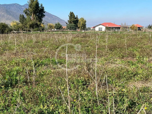 Parcela En Venta En Palmilla