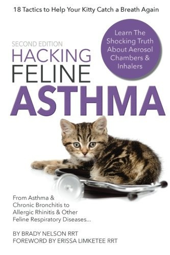 Hacking Feline Asthma  19 Tactics To Help Your Kitty Catch T
