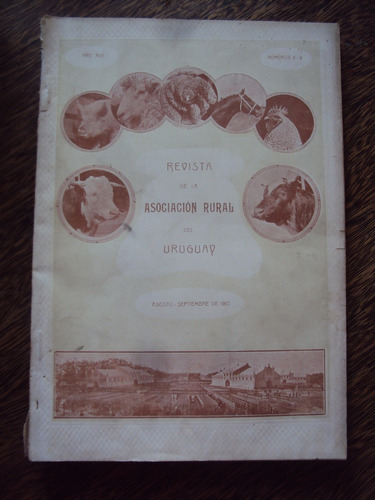 Revista Asociacion Rural Del Uruguay Xlii  N°8 -9  1913