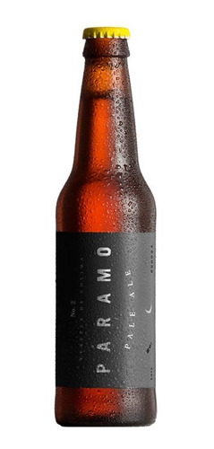 Cerveza Artesanal Paramo Pale Ale 355ml