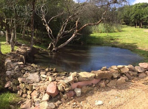 Chacra En Venta Con Costa Laguna Del Sauce - Punta Ballena