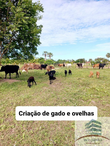 Imagem 10 de 18 de Chácara A Venda Lagoa Das Pedras, Povoado Mandú