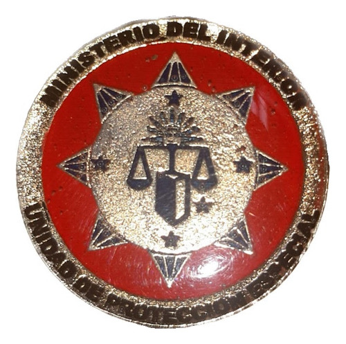 Pin Metálico Unidad De Protección Especial Mi Upe Distintivo