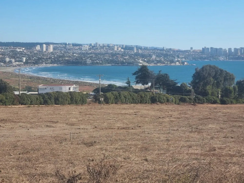 Vista Panorámica Al Mar