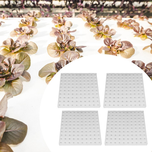 Plantas De Esponja Hidropónica Capa De Crecimiento Cultivo