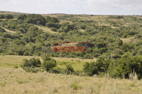 Imagen 1 de 30 de Venta Campo Ubicado En Garzón