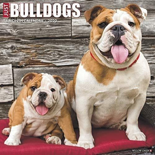 Solo Calendario De Pared 2020 De Bulldogs (calendario De Raz