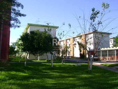 Imagem 2 de 11 de Apartamento - Santa Rosa De Lima - Ref: 432544 - V-cs36007193