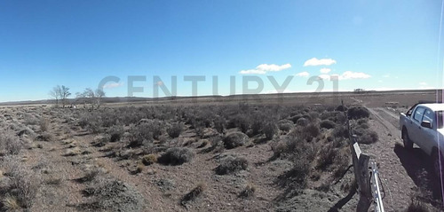 Imagen 5 de 15 de Venta Campo Productivo En La Pre-cordillera De 10623 Hectareas Cria De Ganado