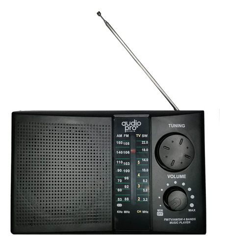 Radio Portatil Fm-am Recargable Usb-sd Slot Audiopro Ap02042