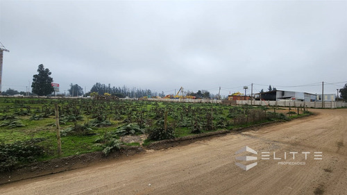 Industrial En Venta En Casablanca