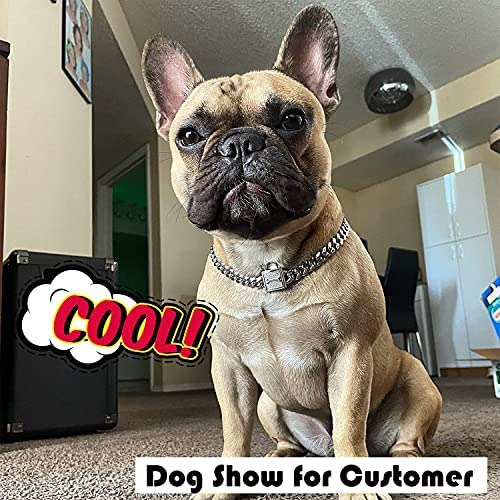 Pradog Collar De Cadena Para Perro Con Bloqueo De Circonita