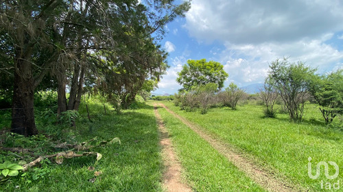 Venta Terreno 0 Ambiente La Cofradía