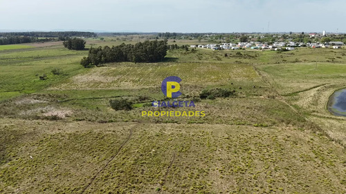 3 Hectáreas En Migues Con Aguada Y Linda Vista