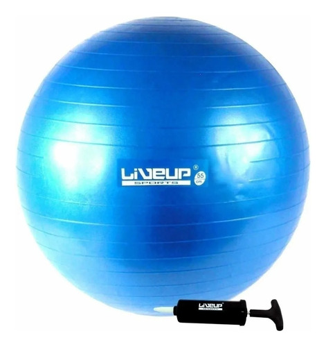 Bola Suiça 65 Cm C/ Bomba Live - Yoga Pilates Fitness