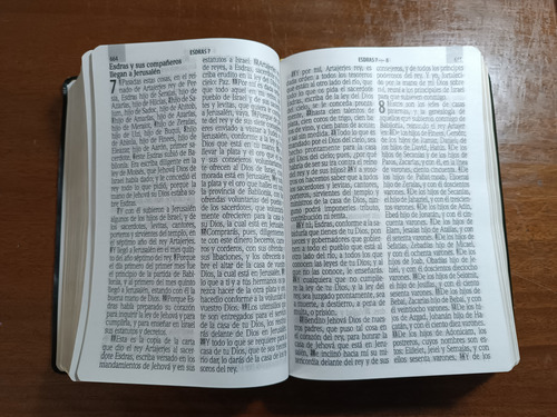 Biblia Letras Gigantes Reina Valera 1960