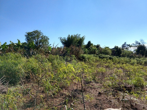 Chácara 20.000 M² - Lomba Grande - Novo Hamburgo - Rs - 1819 - 32578114