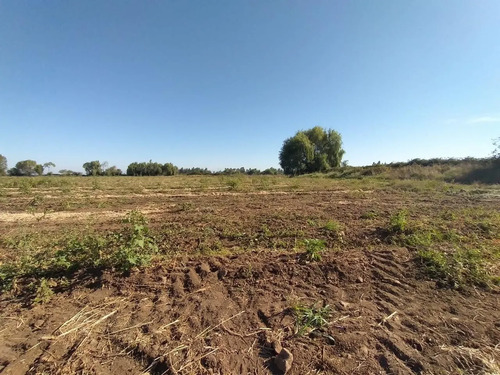 Terreno Agrícola En Venta, Campo De 60 Ha, Teno