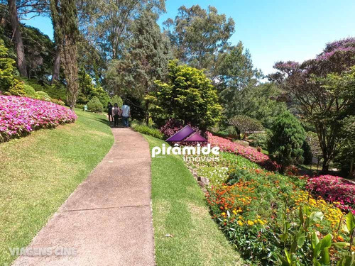 Imagem 12 de 13 de Terreno À Venda, 1500 M² Por R$ 350.000,00 - Centro - Santo Antônio Do Pinhal/sp - Te1378