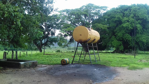 Imagen 4 de 14 de Grandiosa Finca En Via Al Baul 1200 Hectareas