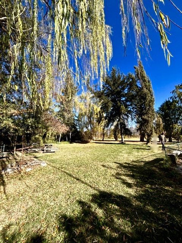 Casa En Venta De 4 Dorm. Curimon En San Felipe.