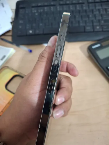Celular iPhone 13 Pro Max (Usado)